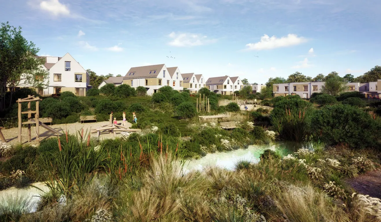 Kacze-Buki-wizualizacja-1-Medium - 2