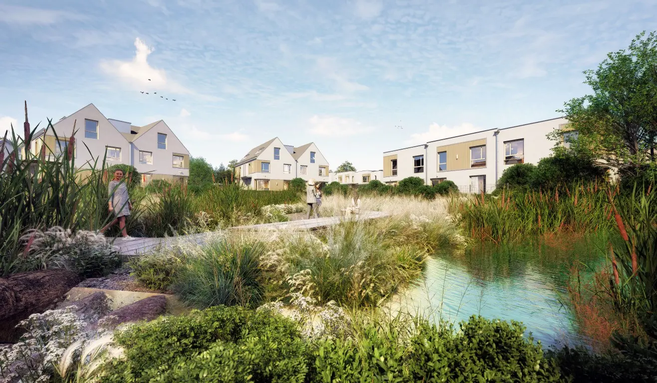 Kacze-Buki-wizualizacja-3-Medium - 2