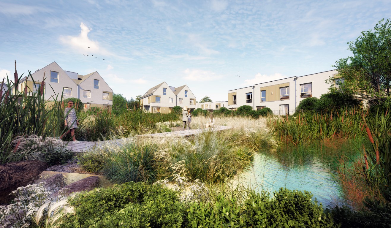 Kacze Buki- wizualizacja 3 (Medium)