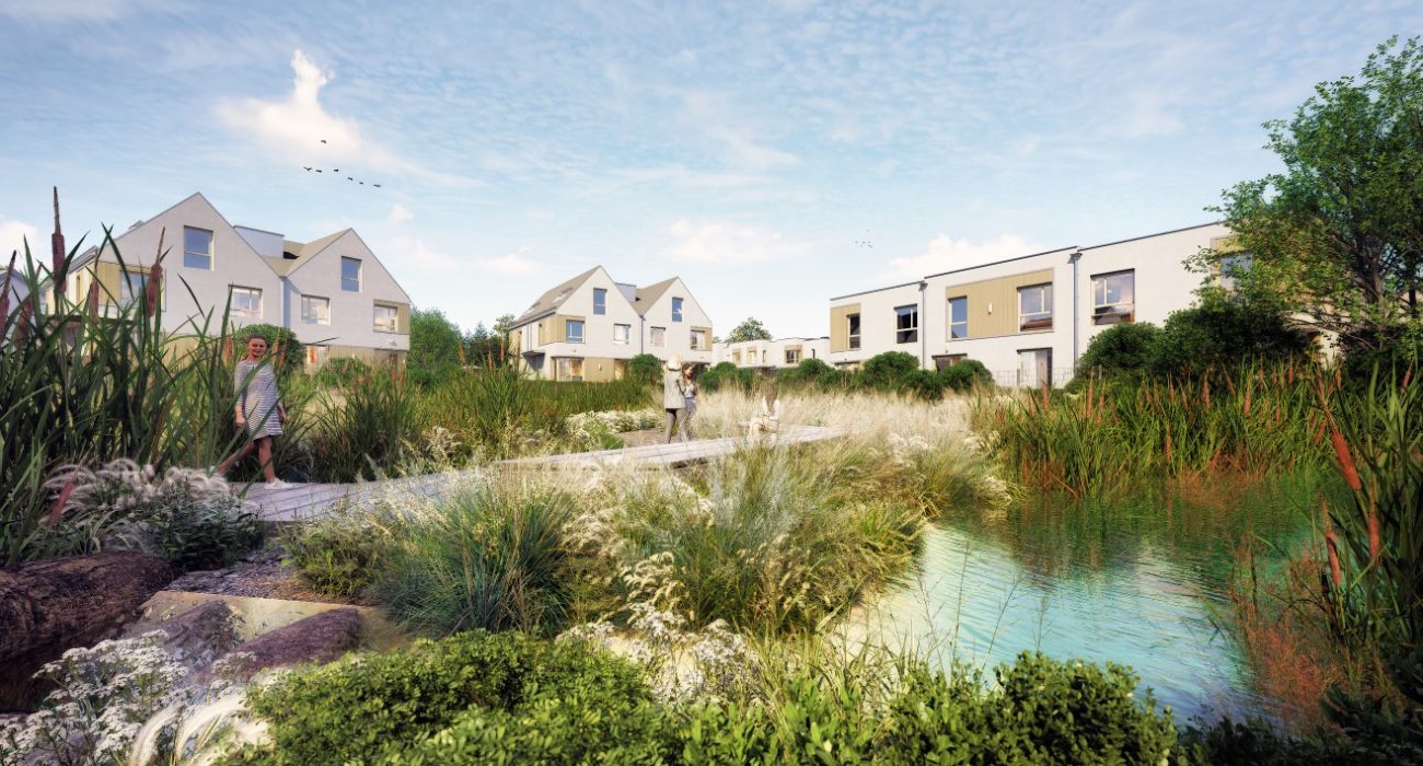 Kacze Buki- wizualizacja 3 (Medium)