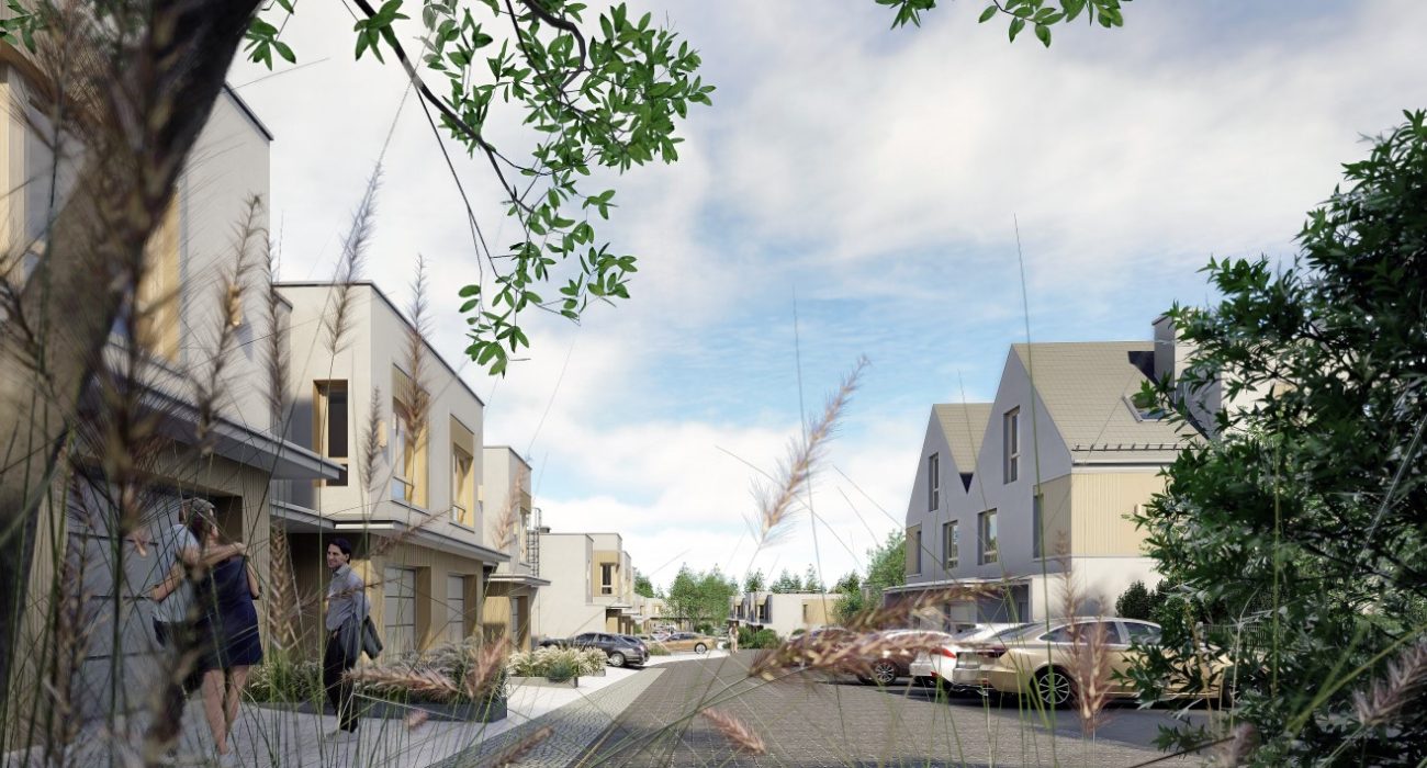 Kacze Buki- wizualizacja 5 (Medium)